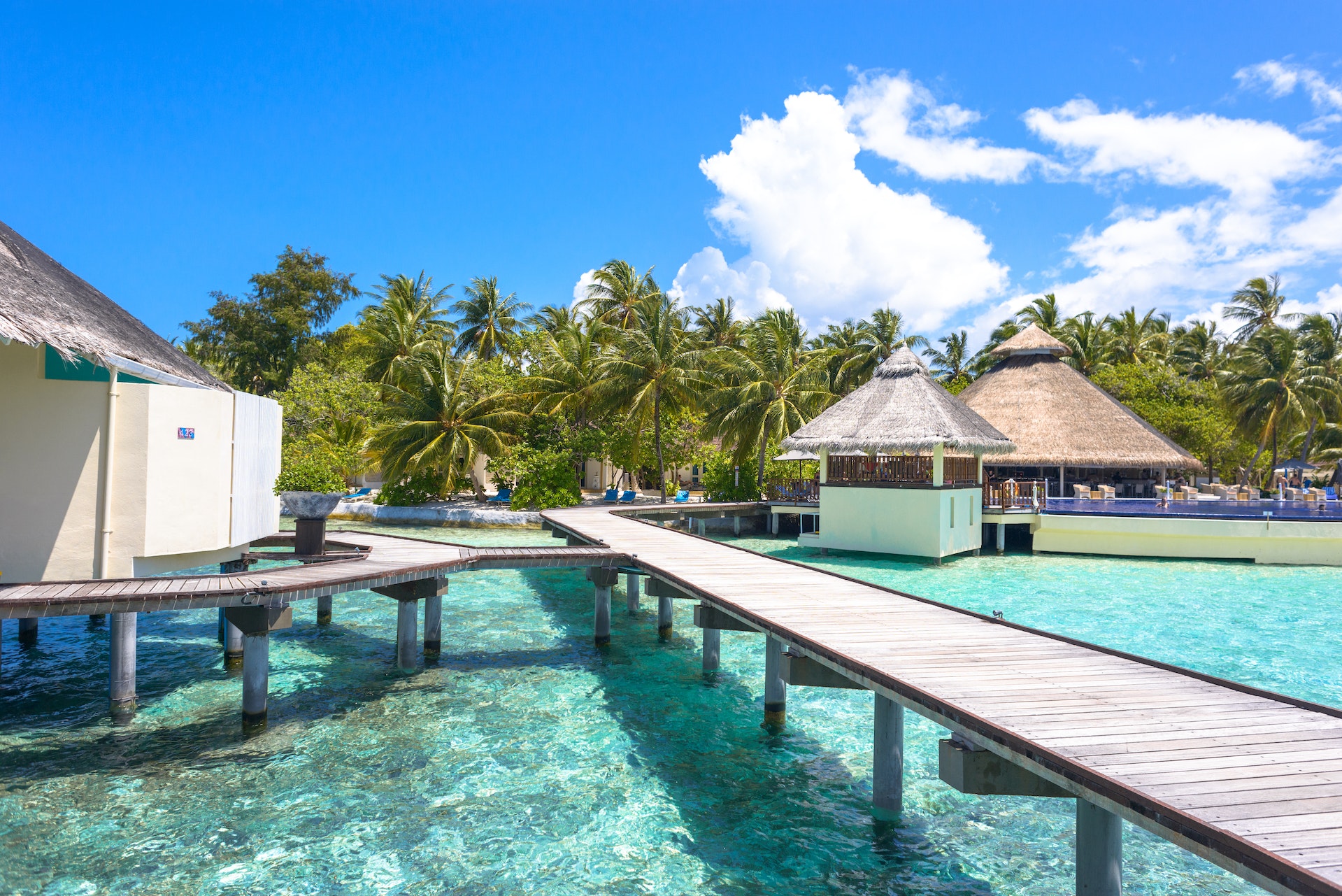 A Maldives Honeymoon