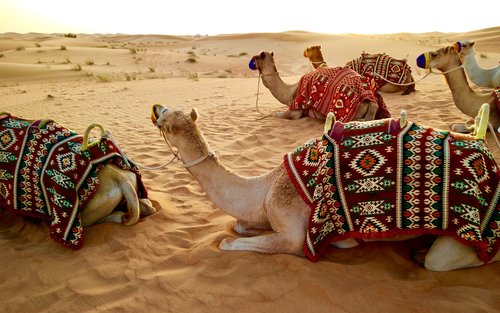 NezaClub Rwanda: Qatar Getaway