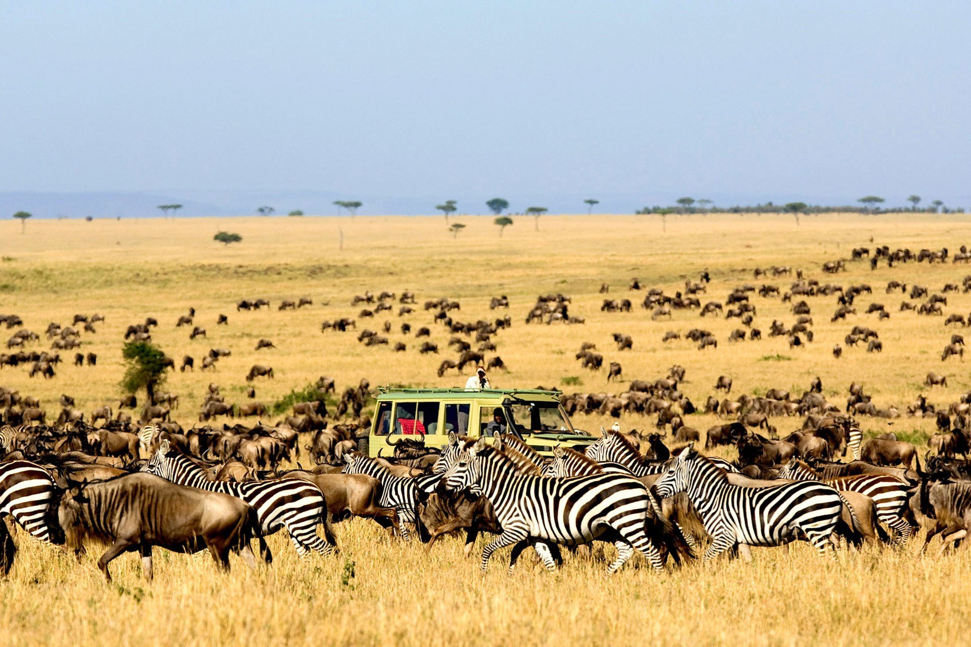 NezaClub Kidepo National Park Adventure