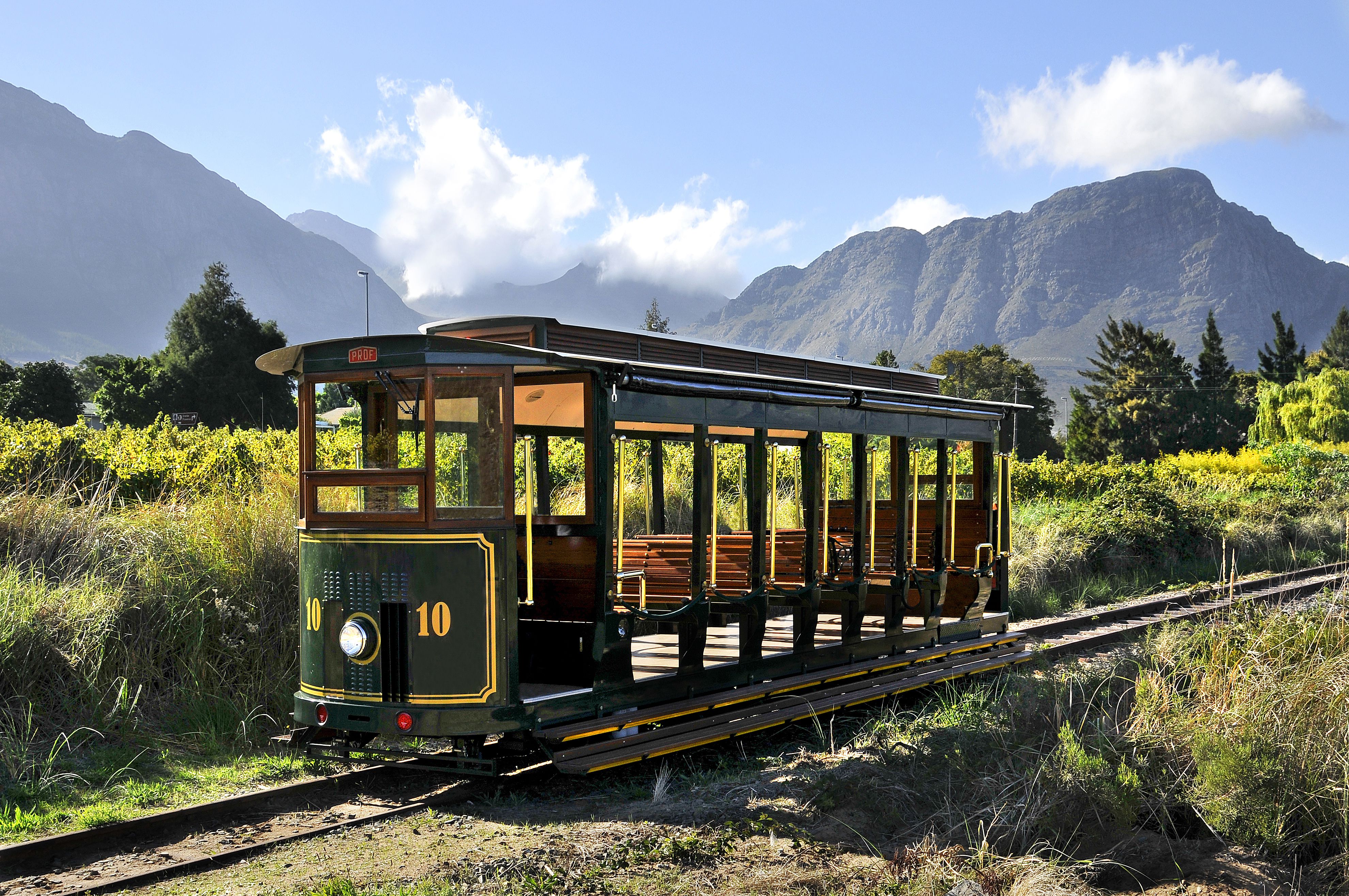 Delightful wine tram tour Capetown