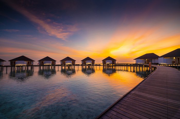 Maldives Honeymoon Paradise