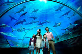 Fascinating KLCC Aquaria Tour Malaysia