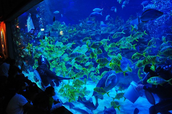 NEZA ESCAPES: SINGAPORE & MALAYSIA